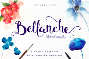 Bellanche Display Font: A Web Designer's Review for Digital Storytelling