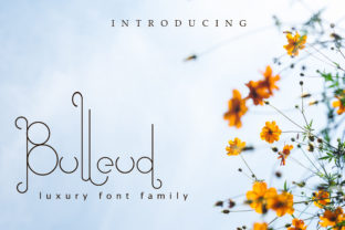 Bulleud: A Display Font That Earns Its Place in Real Projects