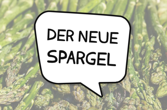 Der Neue Spargel Brings Playful Clarity to Campaign Fonts