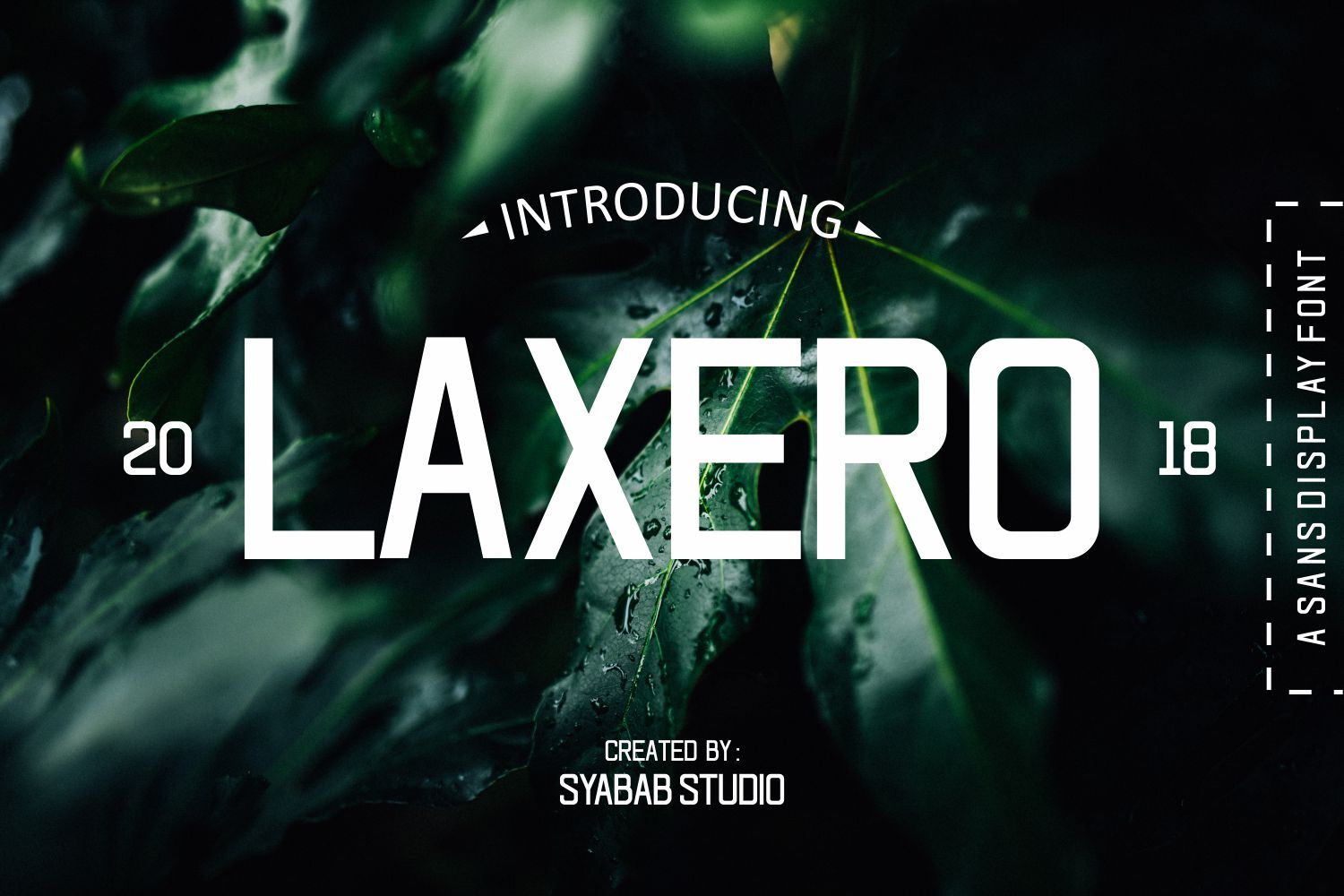 Laxero: A Bold Script Display Font for Campaign Designers
