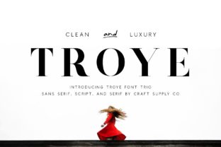 Troye Trio Review: A Modern Serif, Sans, and Script Font for Real Branding Work
